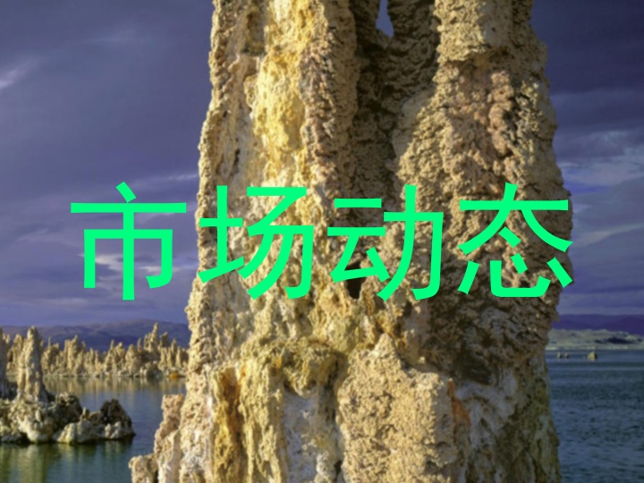 市场动态