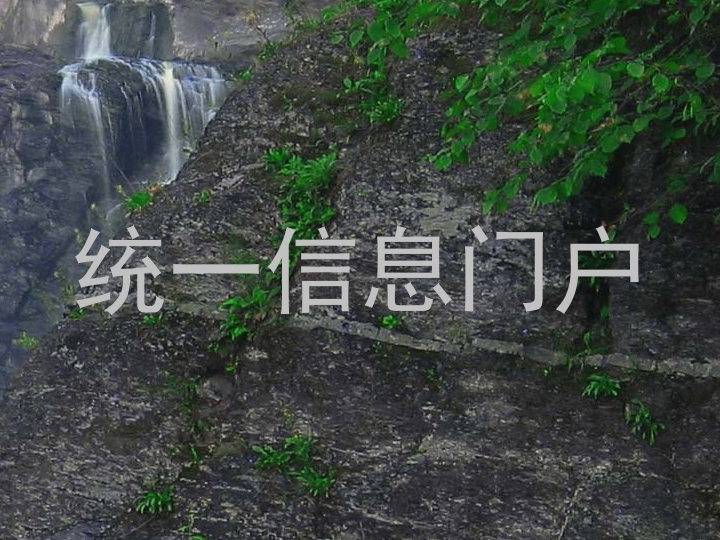 统一信息门户