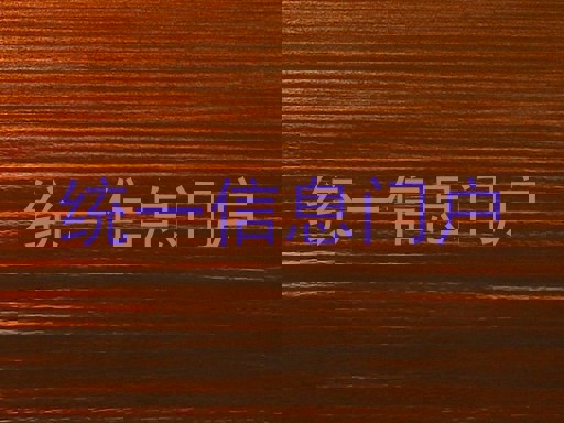 统一信息门户