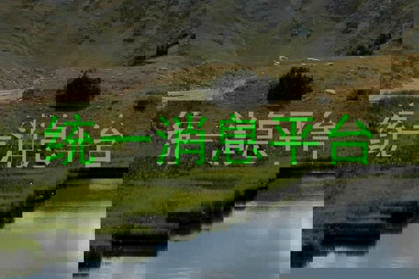 统一消息平台