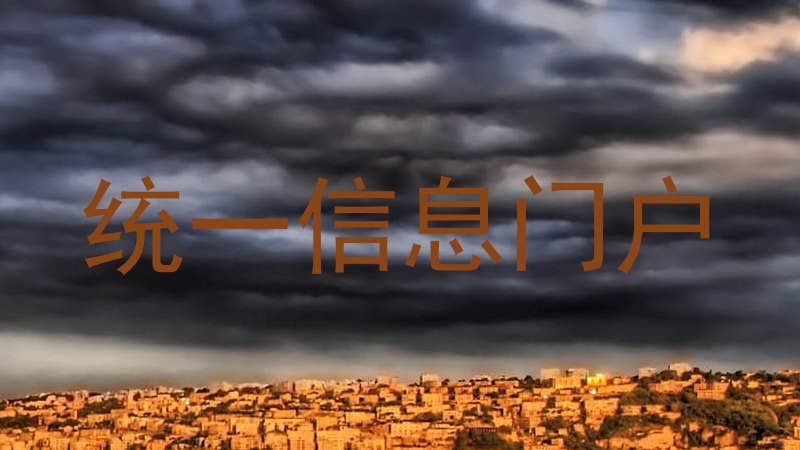 统一信息门户