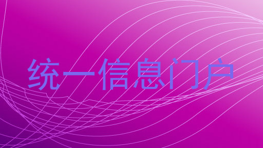 统一信息门户