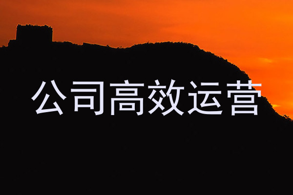 公司高效运营