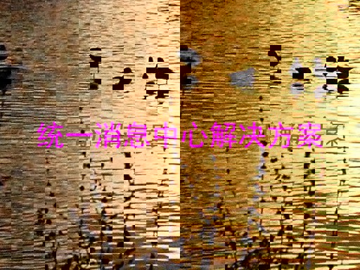 统一消息中心解决方案