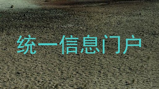 统一信息门户