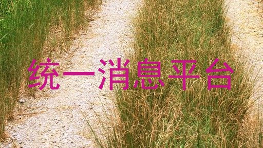 统一消息平台