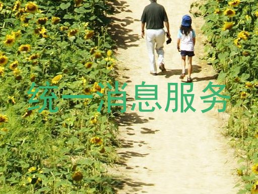 统一消息服务