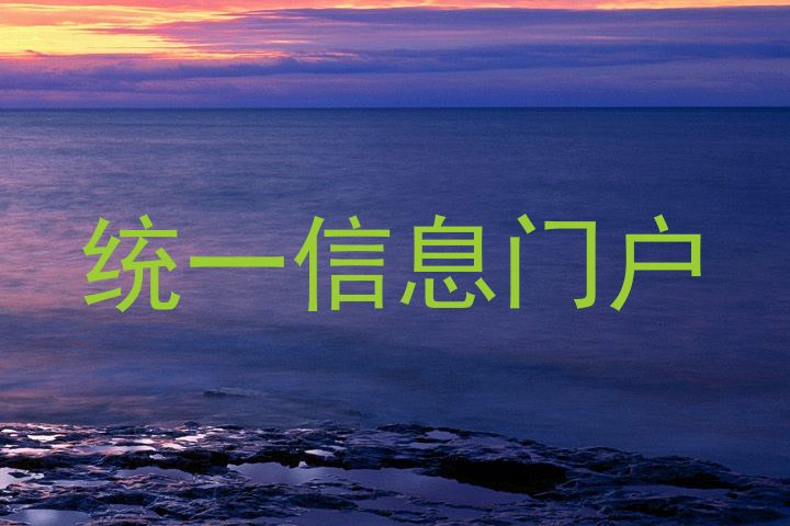 统一信息门户
