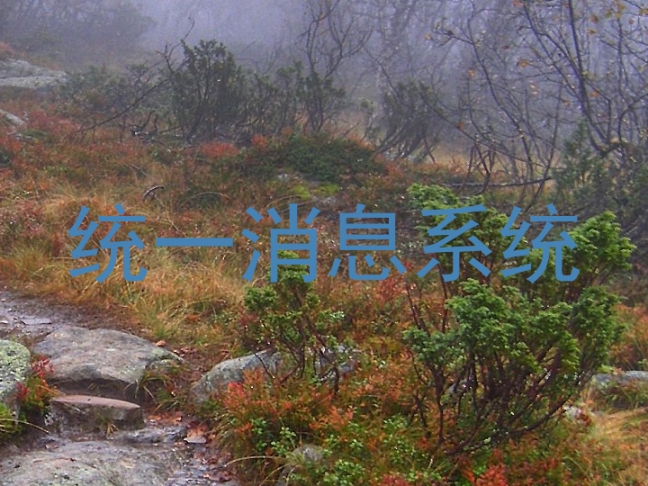 统一消息系统
