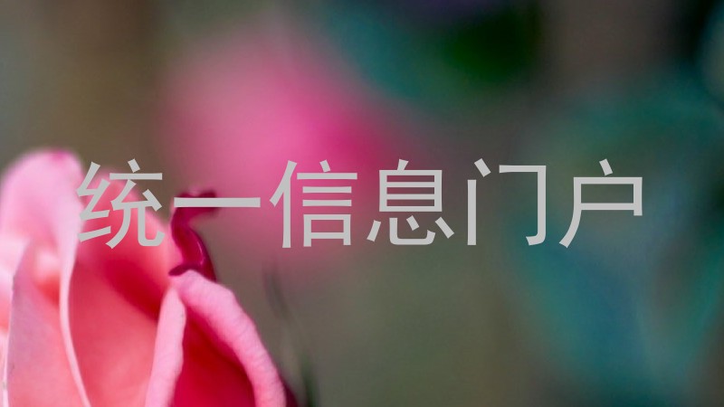 统一信息门户