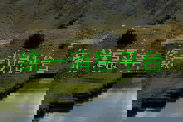 统一消息平台