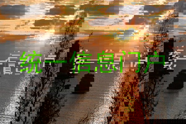 统一信息门户