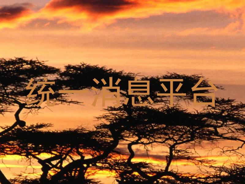 统一消息平台