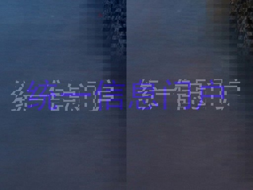 统一信息门户