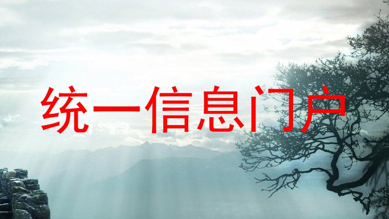 统一信息门户