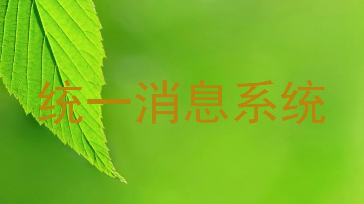 统一消息系统