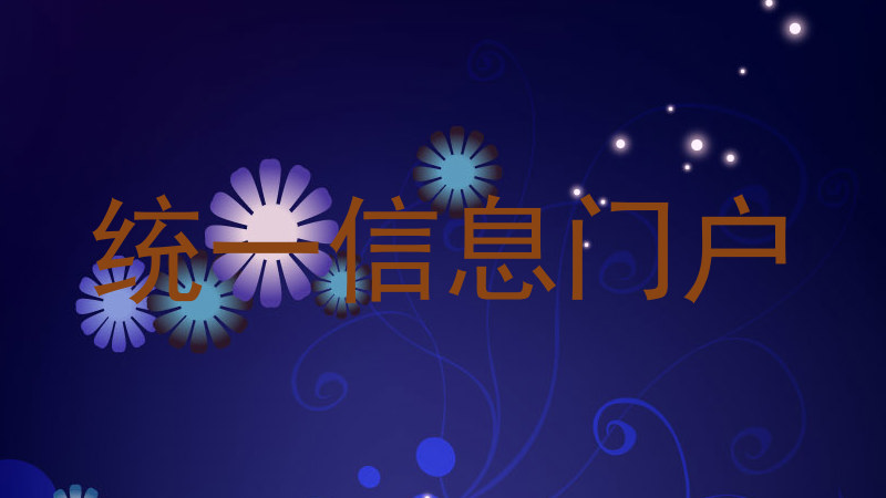 统一信息门户