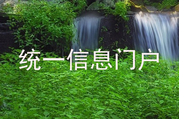 统一信息门户