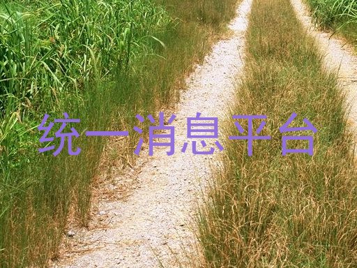 统一消息平台