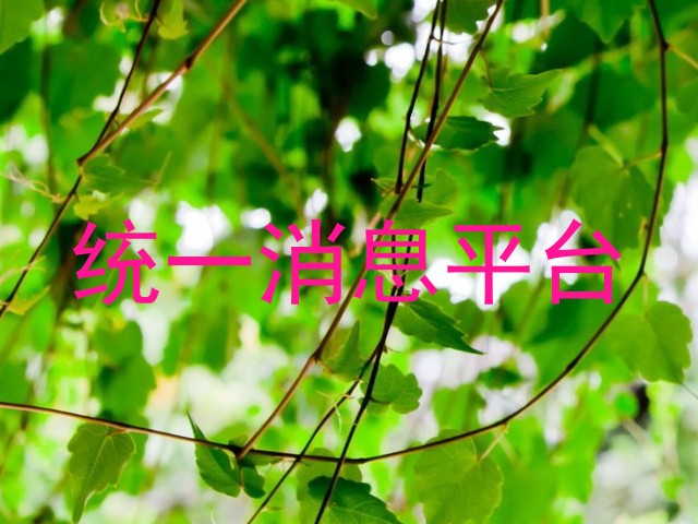 统一消息平台