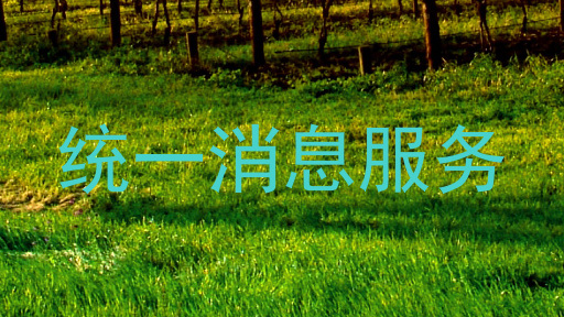 统一消息服务