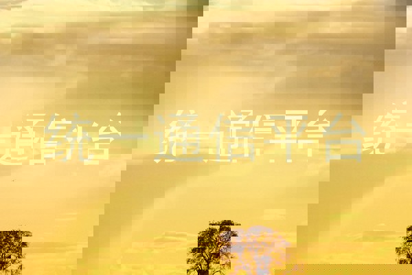 统一通信平台
