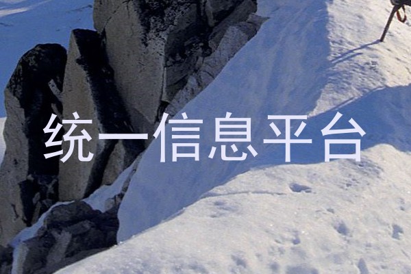 统一信息平台