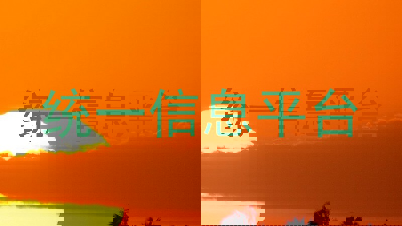 统一信息平台