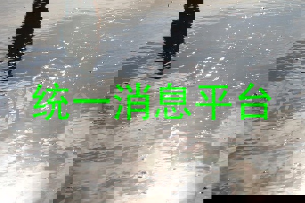 统一消息平台