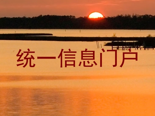 统一信息门户