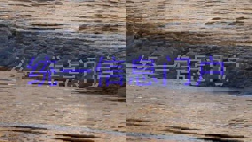 统一信息门户