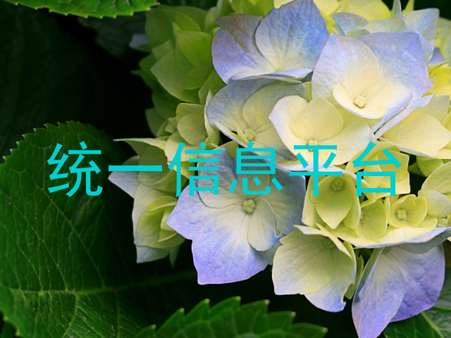 统一信息平台