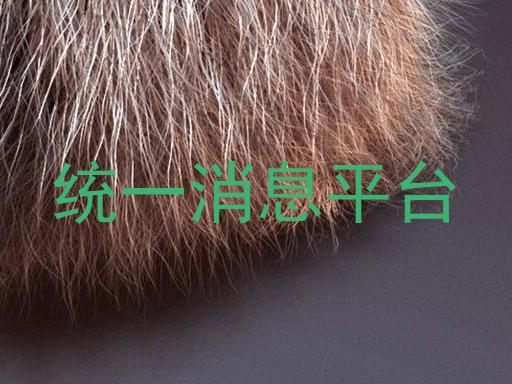 统一消息平台