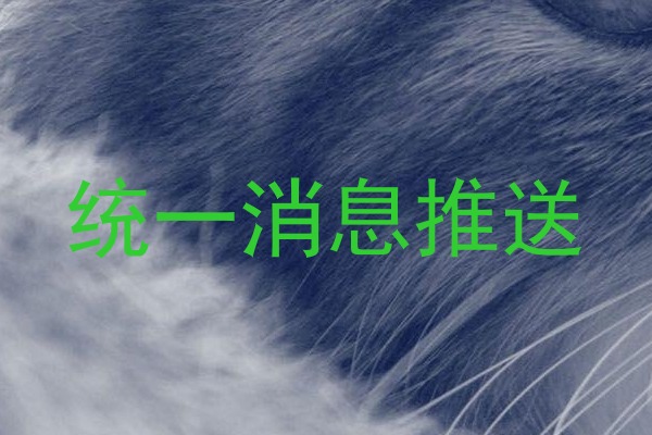 统一消息推送