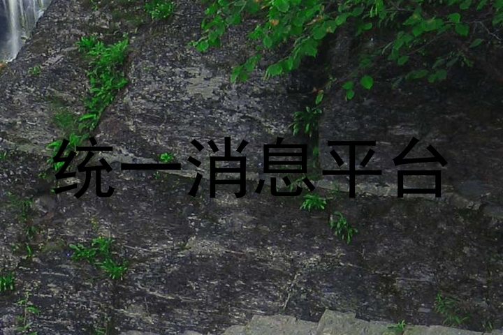 统一消息平台