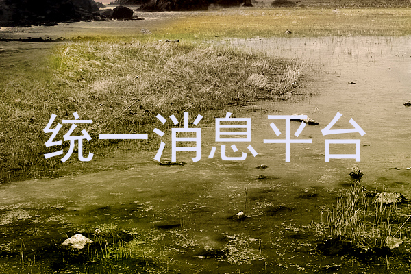 统一消息平台