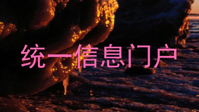 统一信息门户