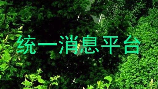 统一消息平台