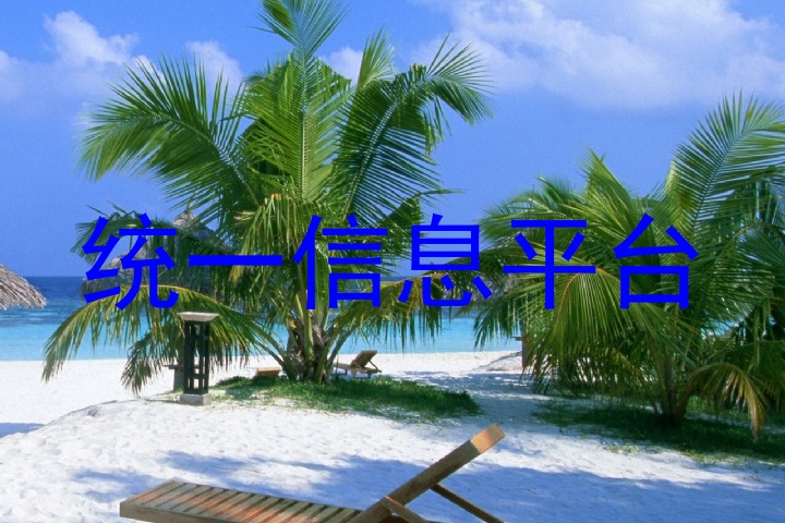 统一信息平台
