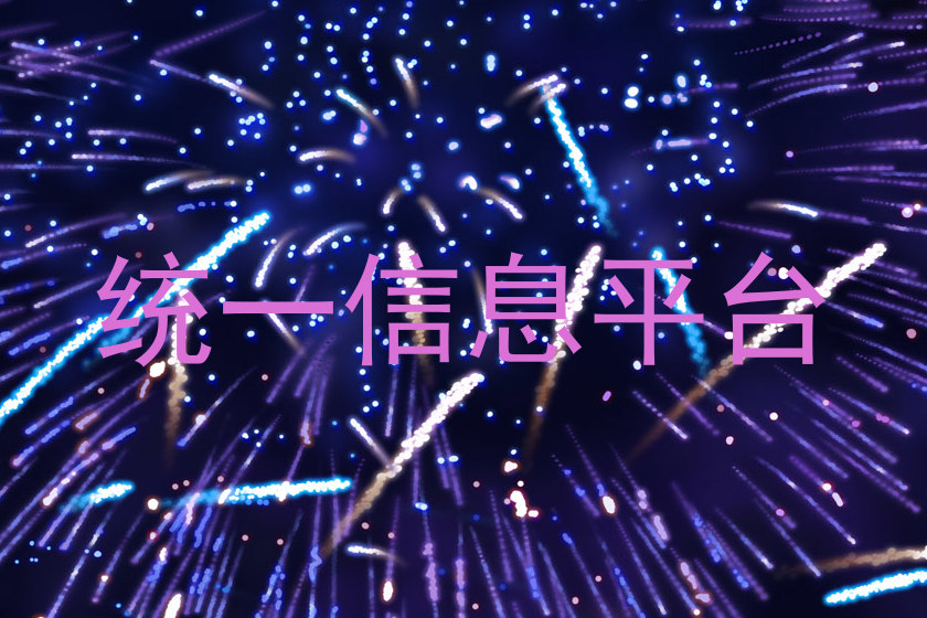 统一信息平台