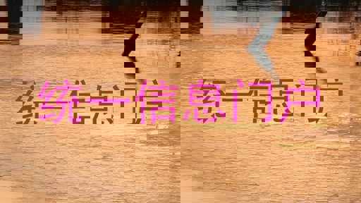 统一信息门户