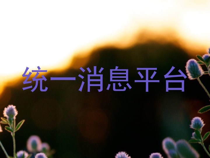 统一消息平台