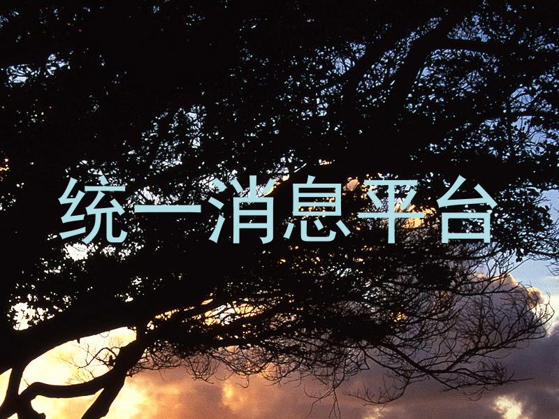 统一消息平台