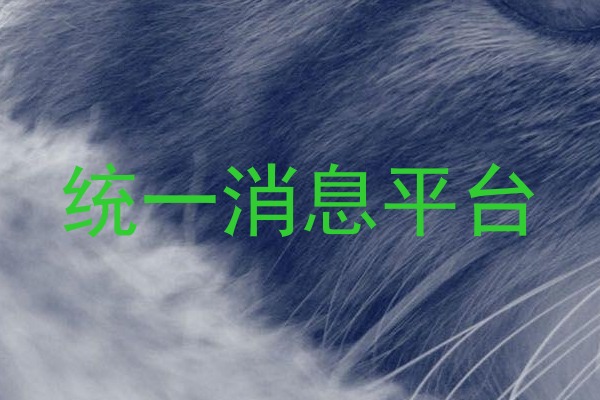 统一消息平台