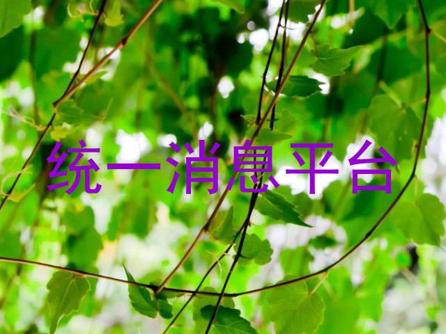 统一消息平台