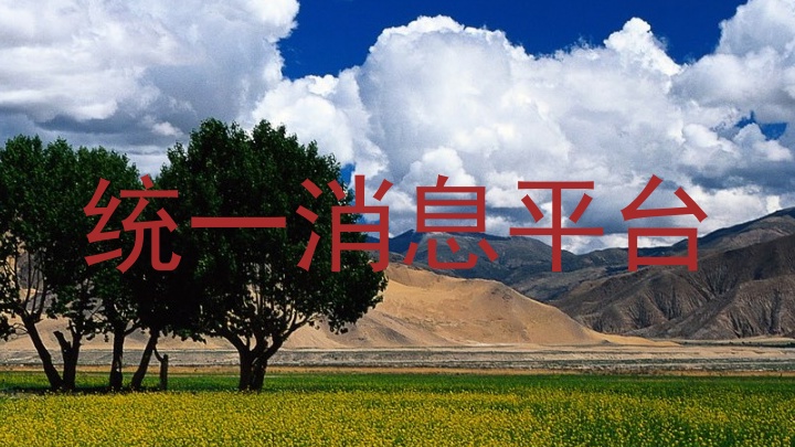 统一消息平台