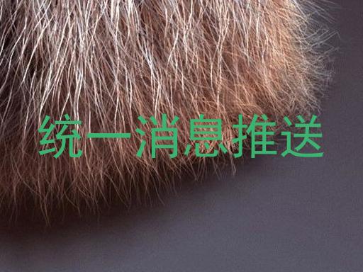 统一消息推送