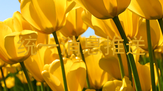 统一消息推送