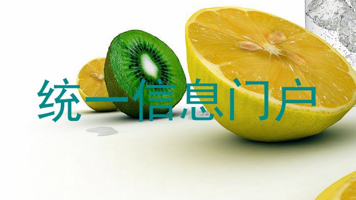 统一信息门户