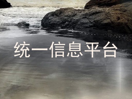 统一信息平台